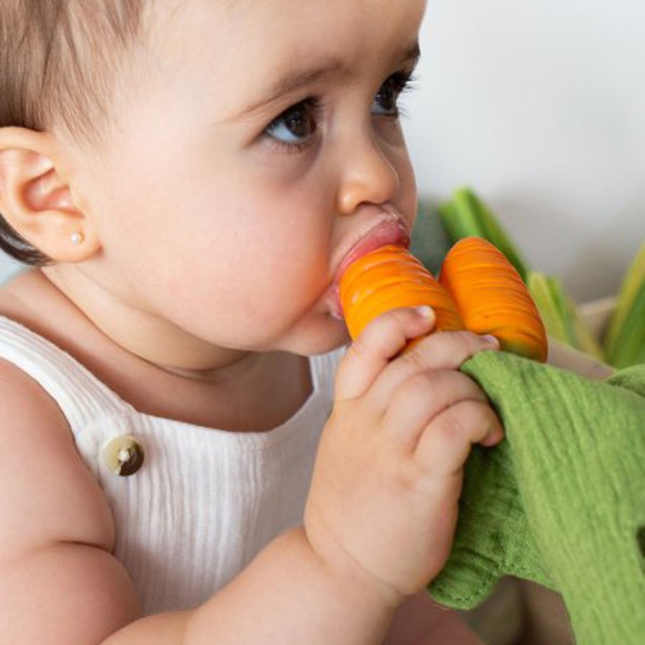 Toys Oli & Carol Bath Toys | Oli & Carol Cathy The Carrot Comforter And Teether