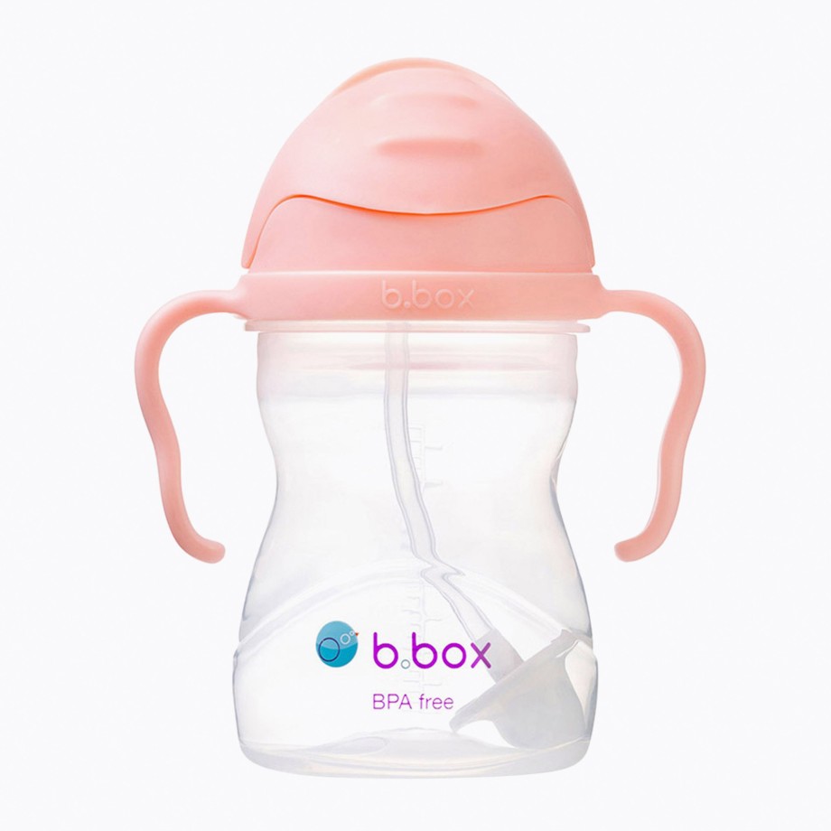 Mealtime B.Box Sippy Cups | B.Box Sippy Cup 240Ml - Tutti Frutti